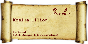 Kosina Liliom névjegykártya